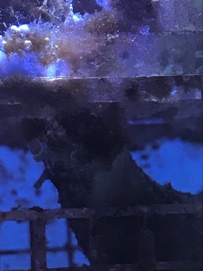 QQ图片20180121130504.jpg